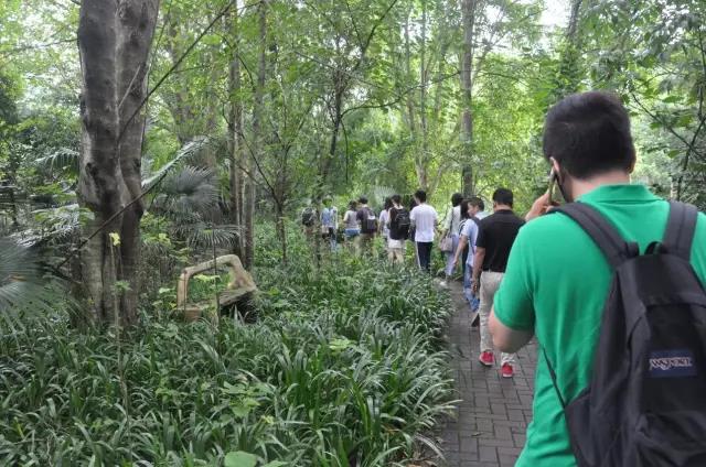 《百花亮采項目概念規(guī)劃設(shè)計》項目正式啟動