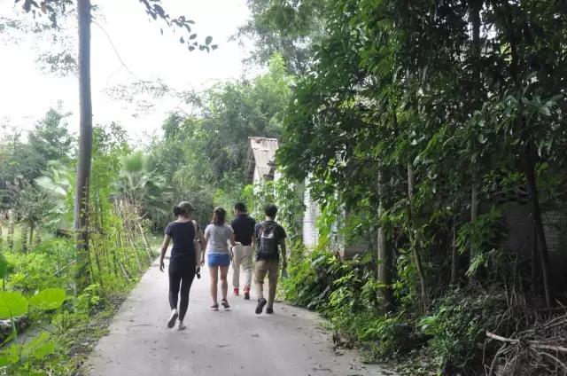 《百花亮采項目概念規(guī)劃設(shè)計》項目正式啟動