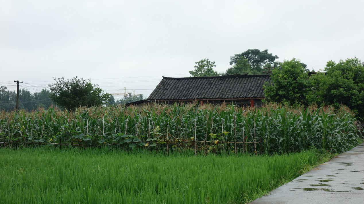 1533805354555124.png 圖片3.png