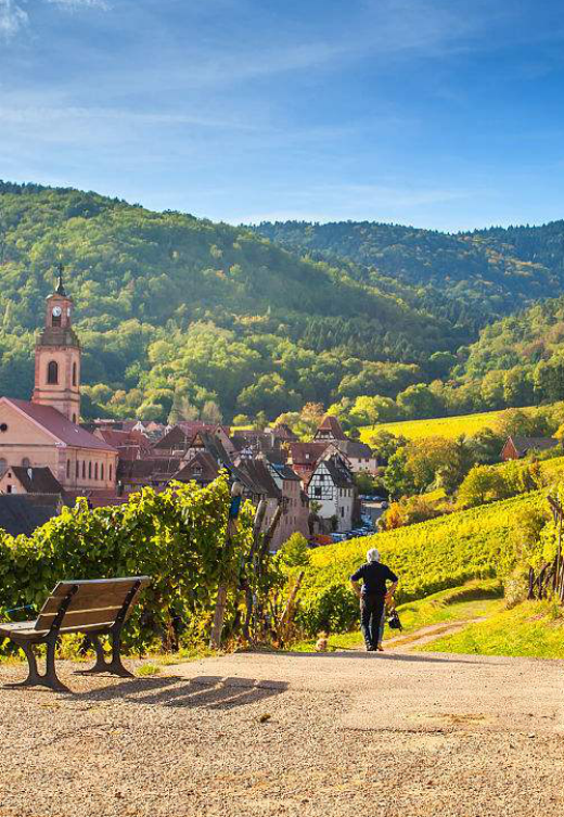 1534504249809883.png TIM截圖20180817191110.png