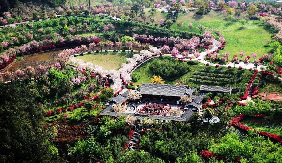 1534929350279997.jpg 1459409023460.jpg