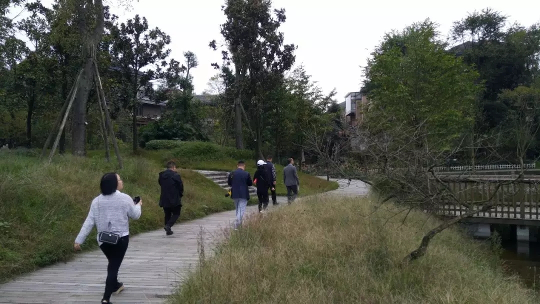 1541992225427349.jpg 640.webp (3).jpg