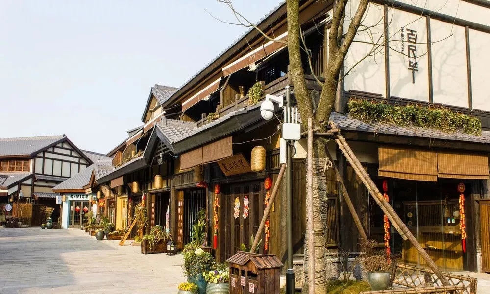 1551770645698995.jpg 6.webp.jpg