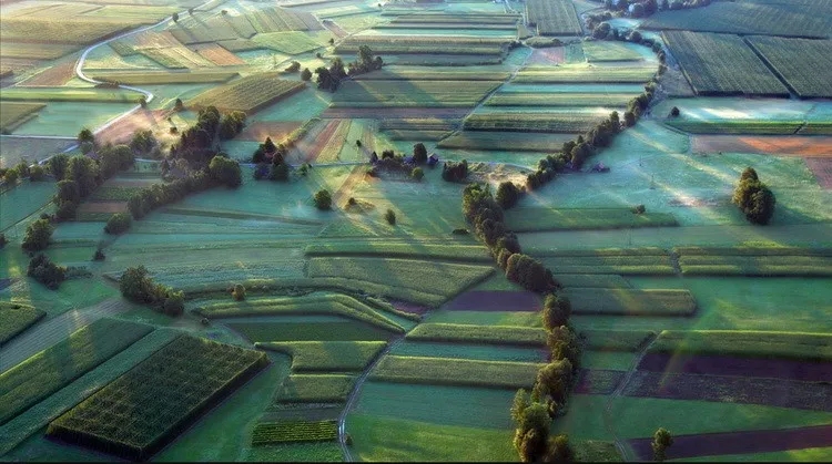 1551770888516287.jpg 13.webp.jpg