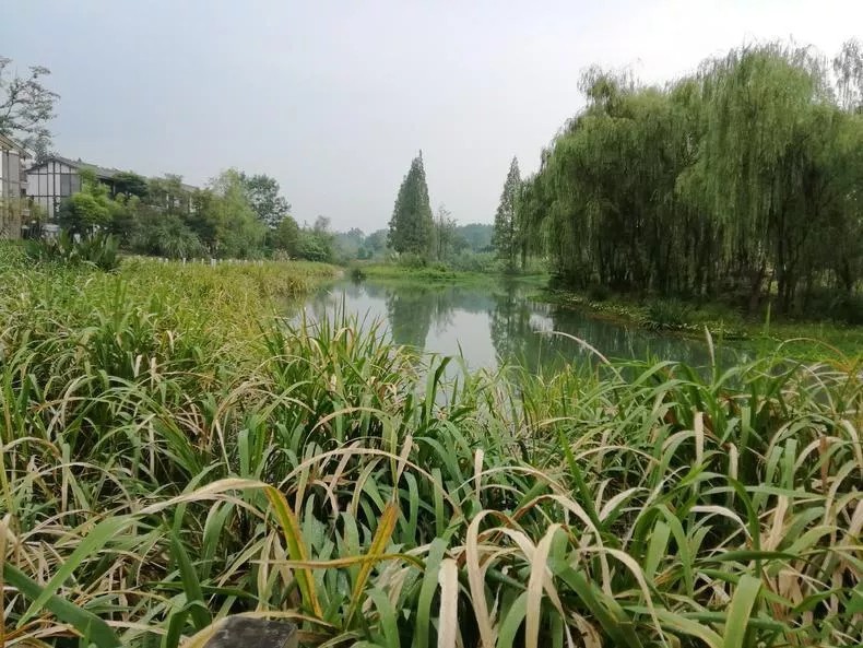 1562660016543720.jpg 1562660016543720.jpg