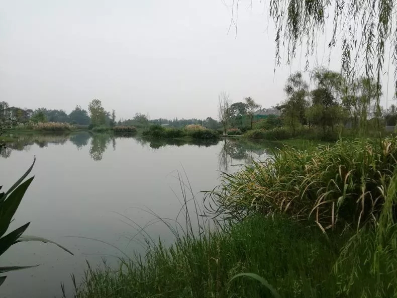 1562660016743470.jpg 1562660016743470.jpg