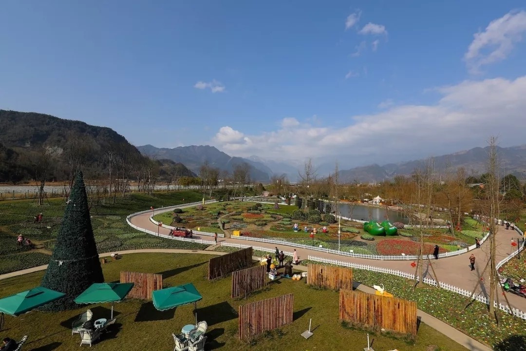 1562660306316977.jpg 1562660306316977.jpg