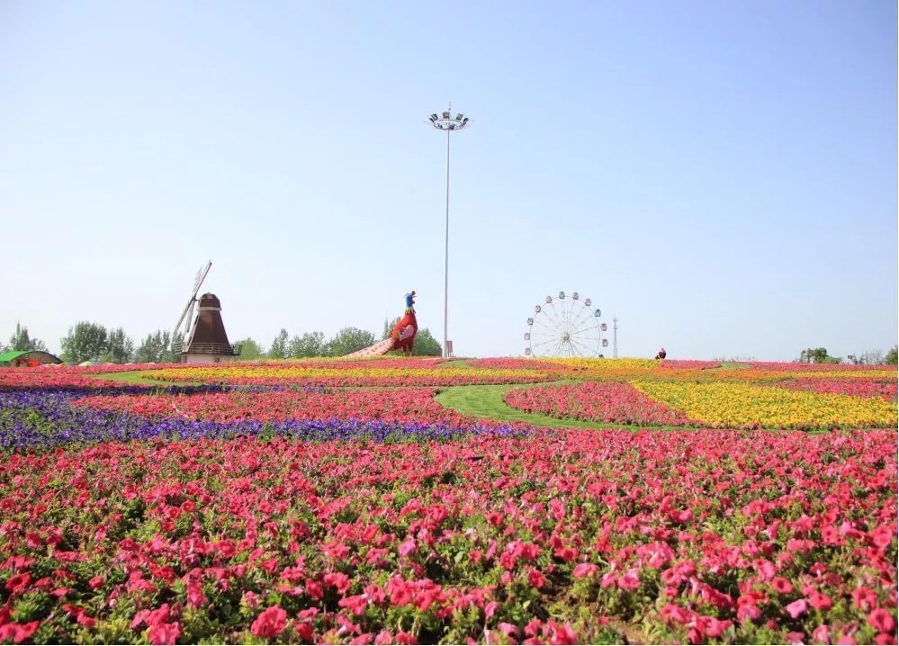 1562660345516470.jpg 1562660345516470.jpg