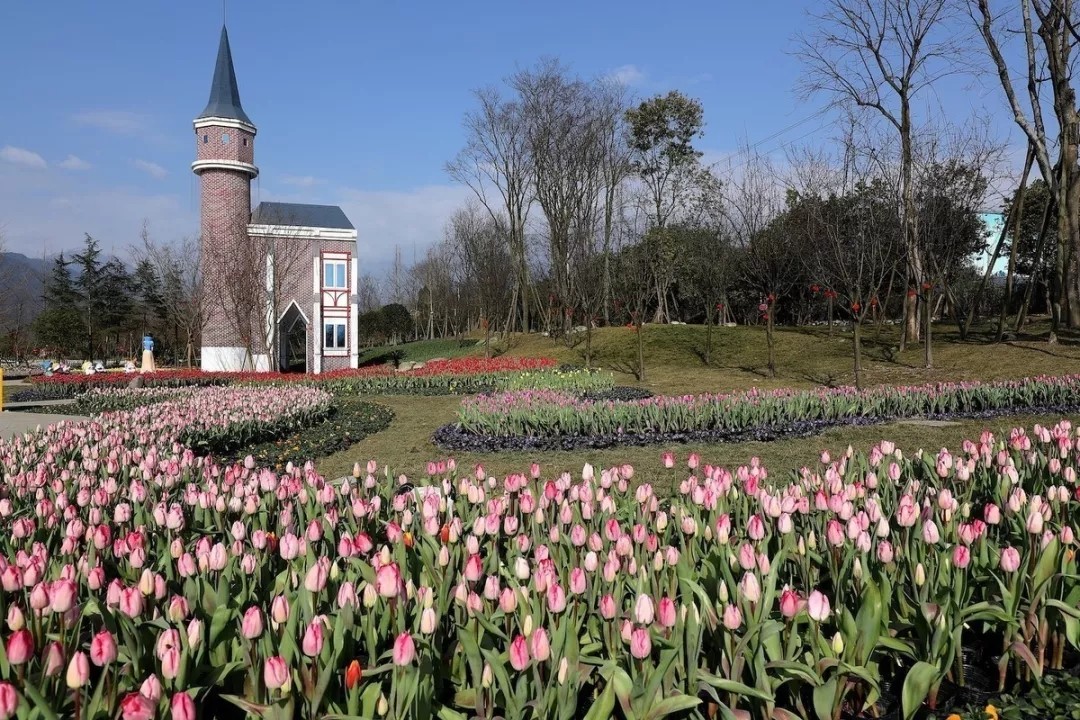 1562660345710176.jpg 1562660345710176.jpg