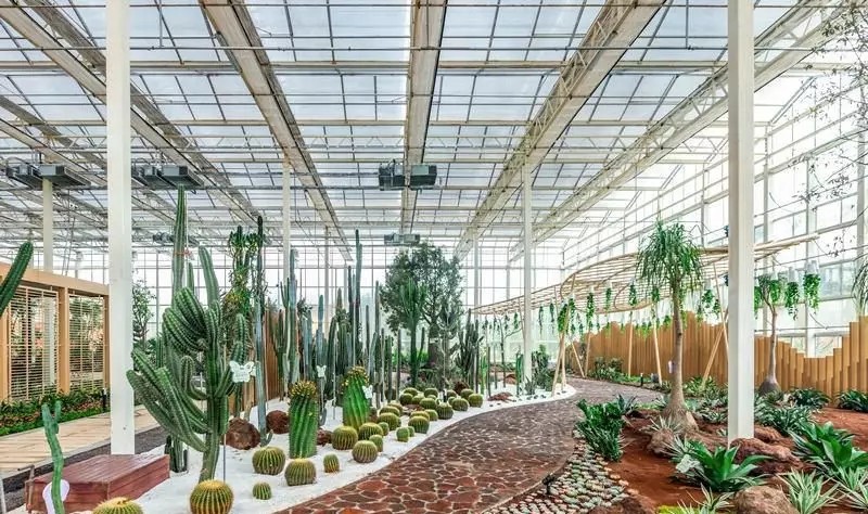 1562660490450764.jpg 1562660490450764.jpg