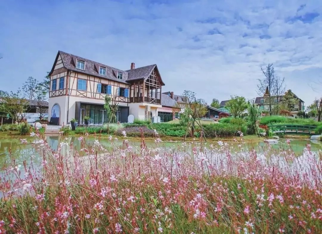 1562660681196325.jpg 1562660681196325.jpg