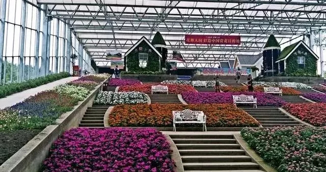 1562660786483357.jpg 1562660786483357.jpg