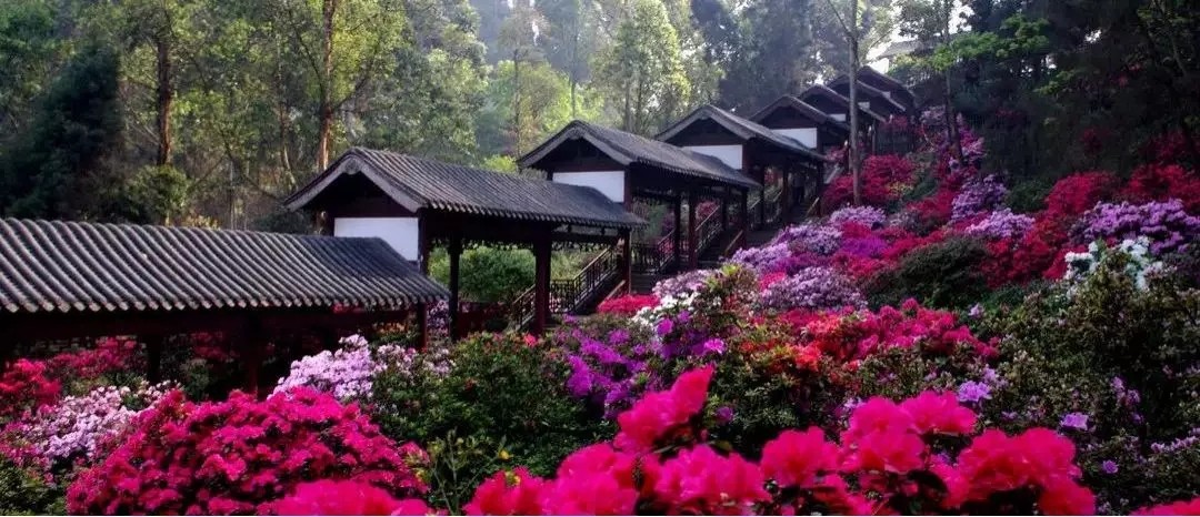 1562660815266975.jpg 1562660815266975.jpg