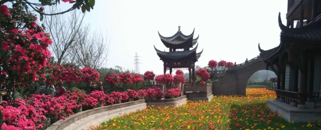 1562660815592072.jpg 1562660815592072.jpg