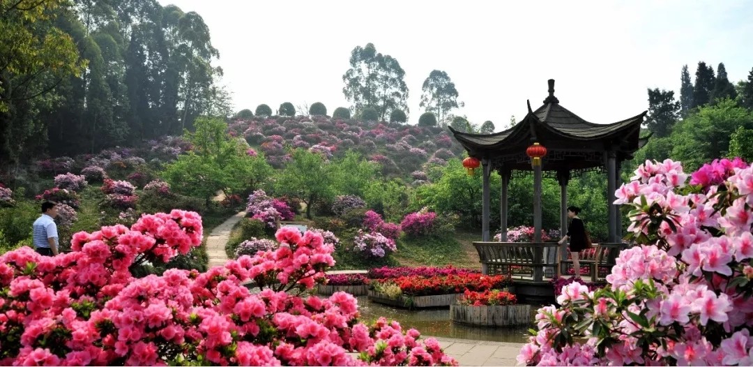 1562660815907860.jpg 1562660815907860.jpg