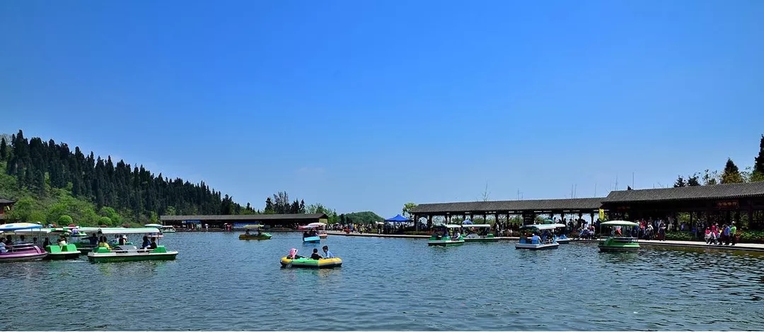 1562660878680037.jpg 1562660878680037.jpg