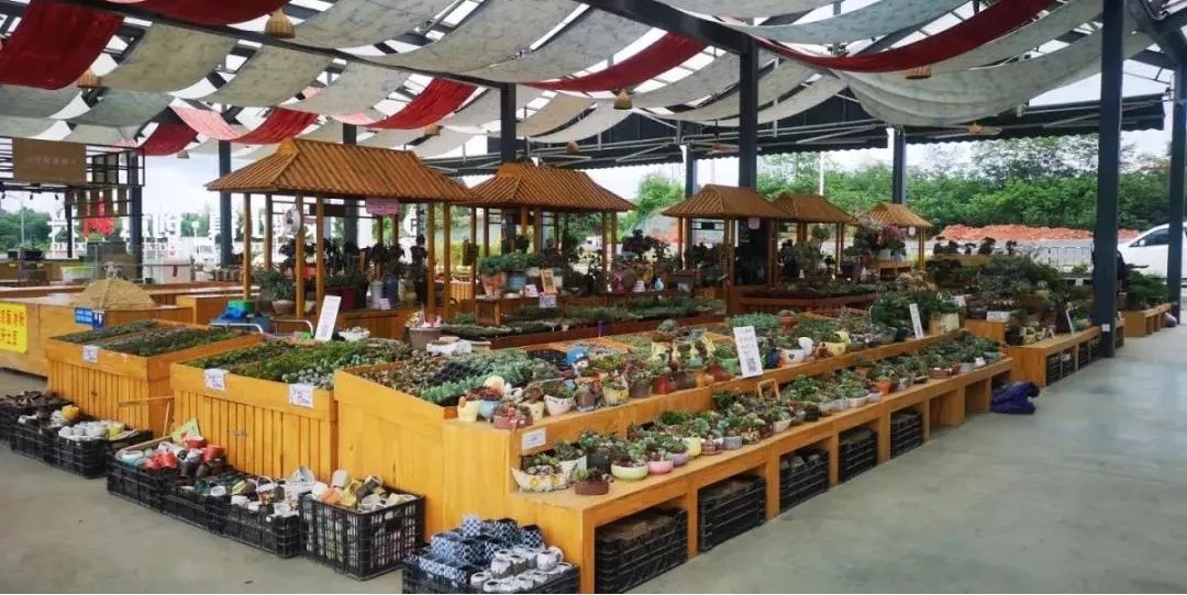 1562660989927207.jpg 1562660989927207.jpg