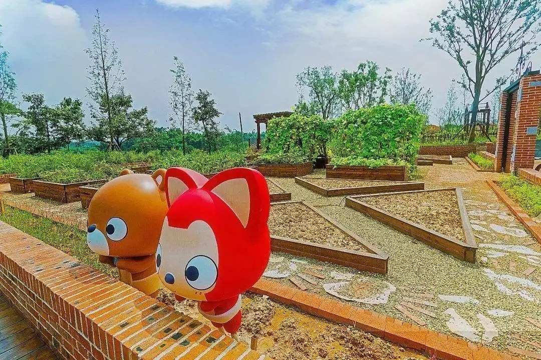 1562661031943170.jpg 1562661031943170.jpg