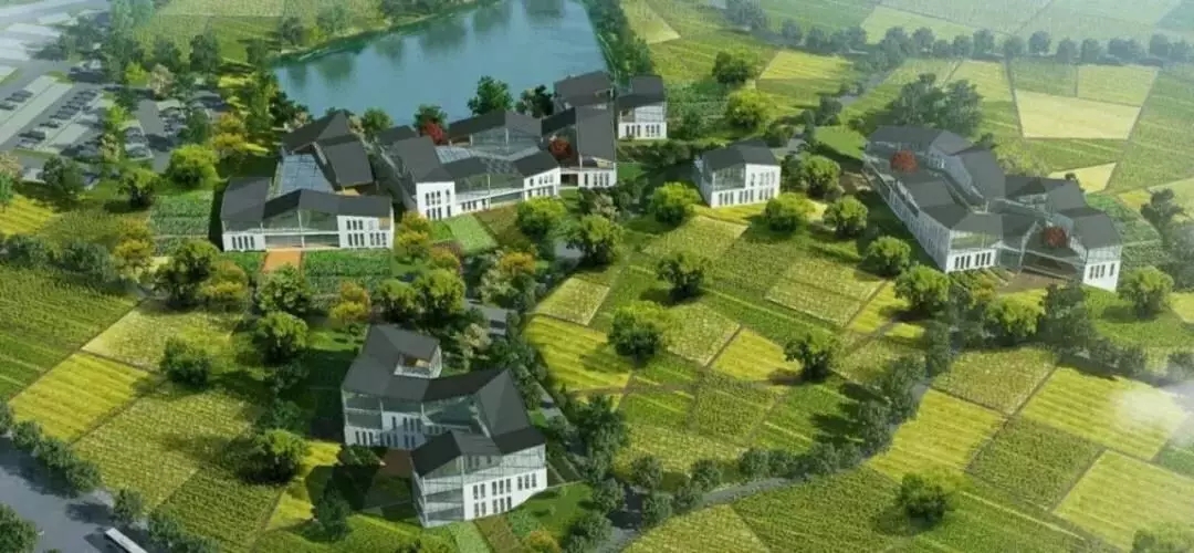 1562661062316179.jpg 1562661062316179.jpg