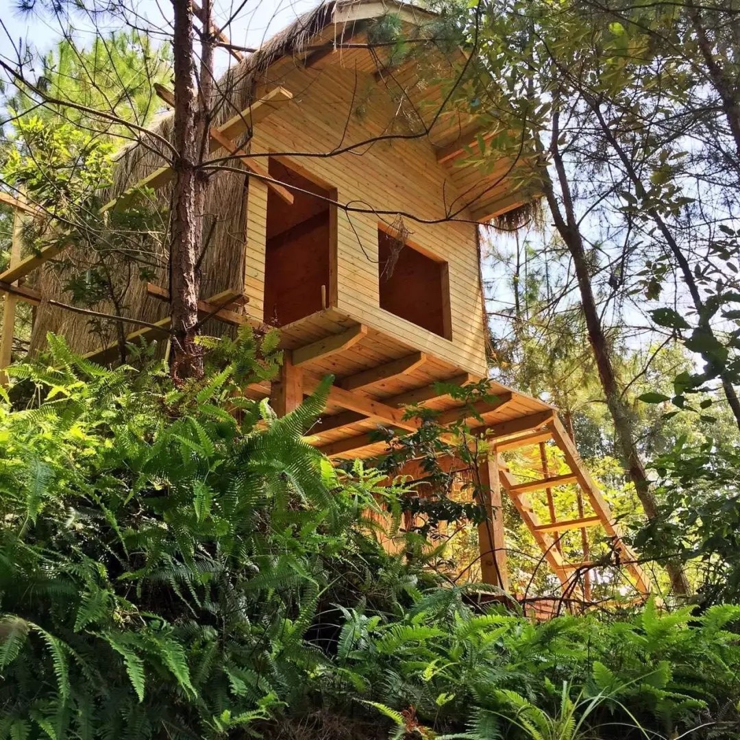 1562661140375368.jpg 1562661140375368.jpg