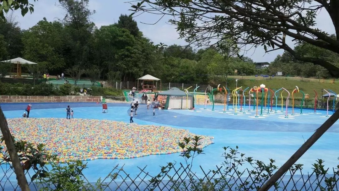 1562661297538829.jpg 1562661297538829.jpg