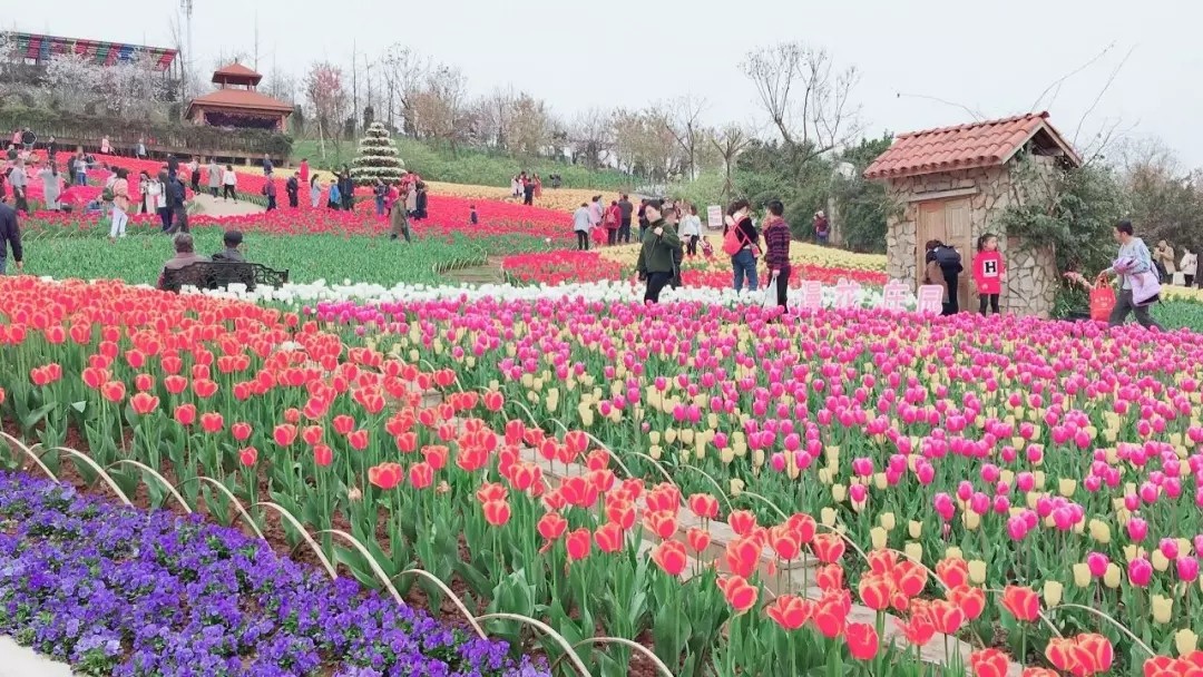 1562661446337725.jpg 1562661446337725.jpg