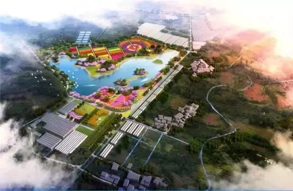 1562661496359524.jpg 1562661496359524.jpg