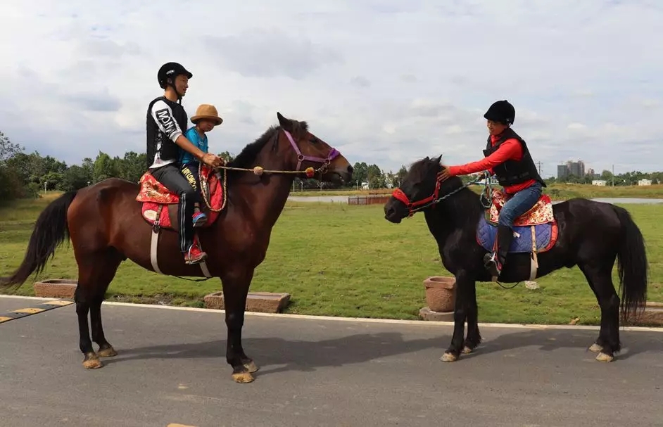 1562661552974174.jpg 1562661552974174.jpg