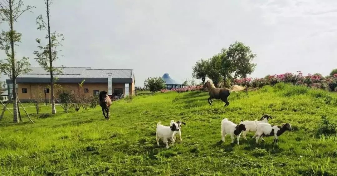 1562661606973980.jpg 1562661606973980.jpg