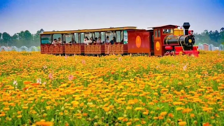 1562661688273967.jpg 1562661688273967.jpg