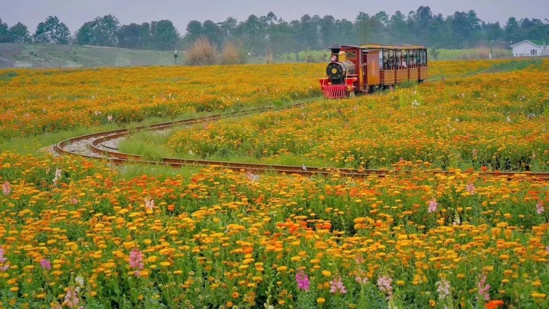 1562661689330460.jpg 1562661689330460.jpg