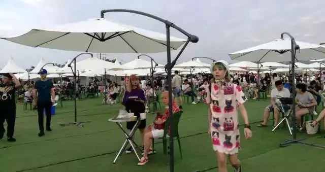 1562661772858981.jpg 1562661772858981.jpg