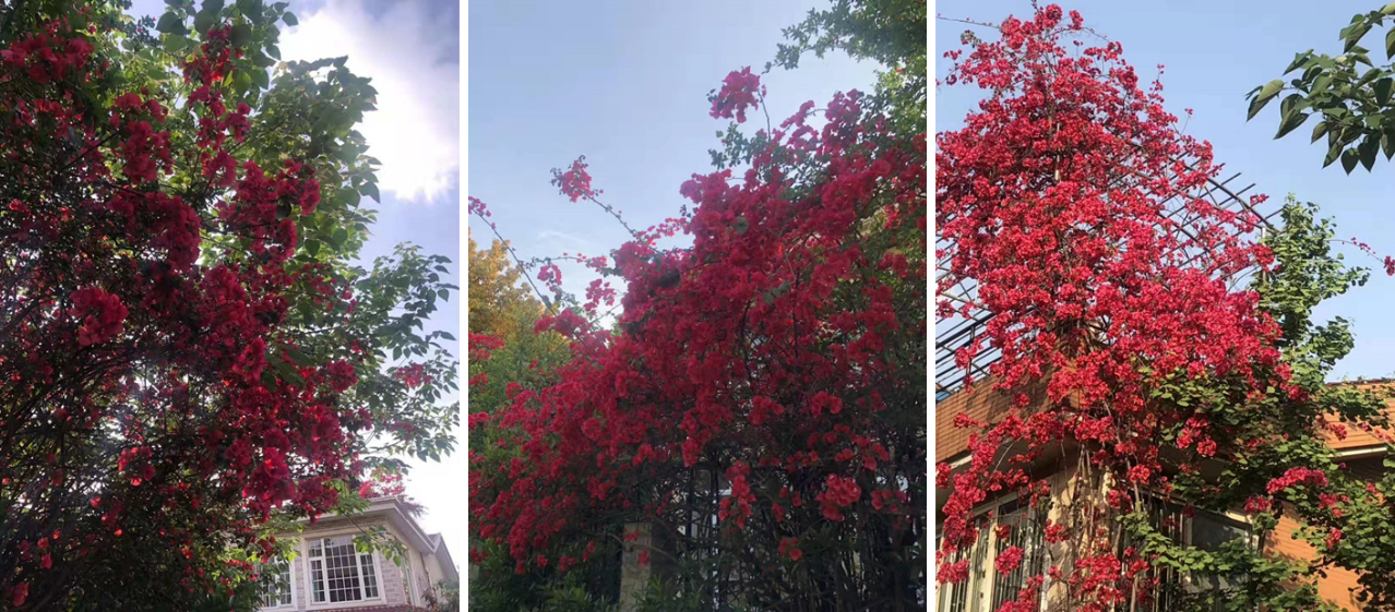 1574667757699372.png 1574667757699372.png