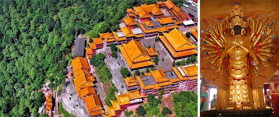 1577175094117239.jpg 70.jpg